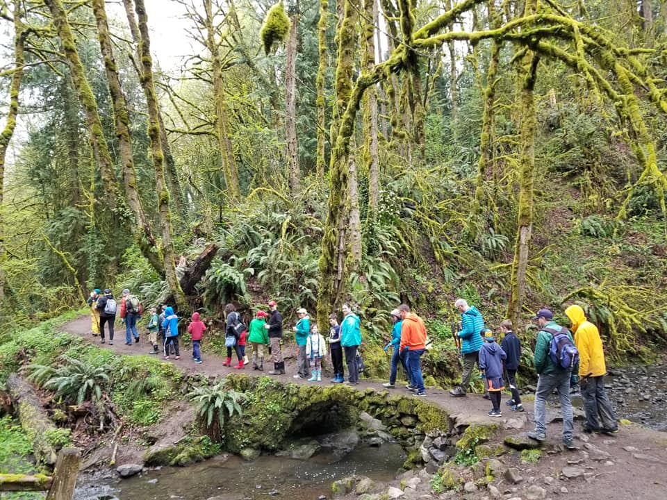 A line of people walking on a path in the forest