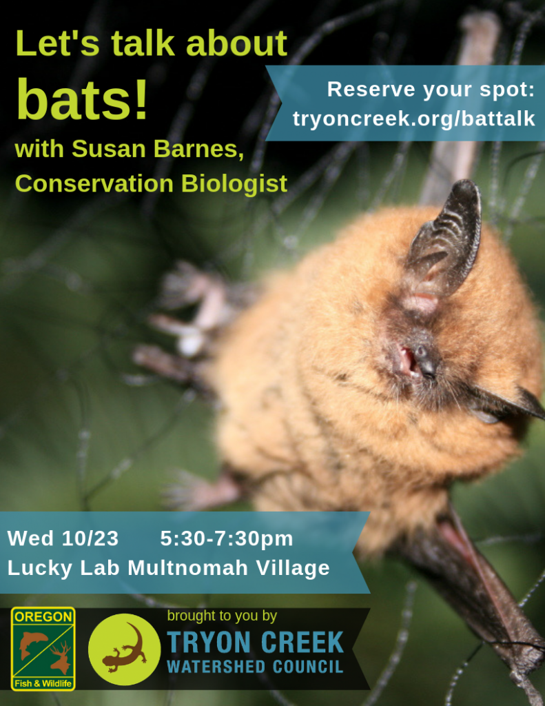 Bat Talk Flyer
