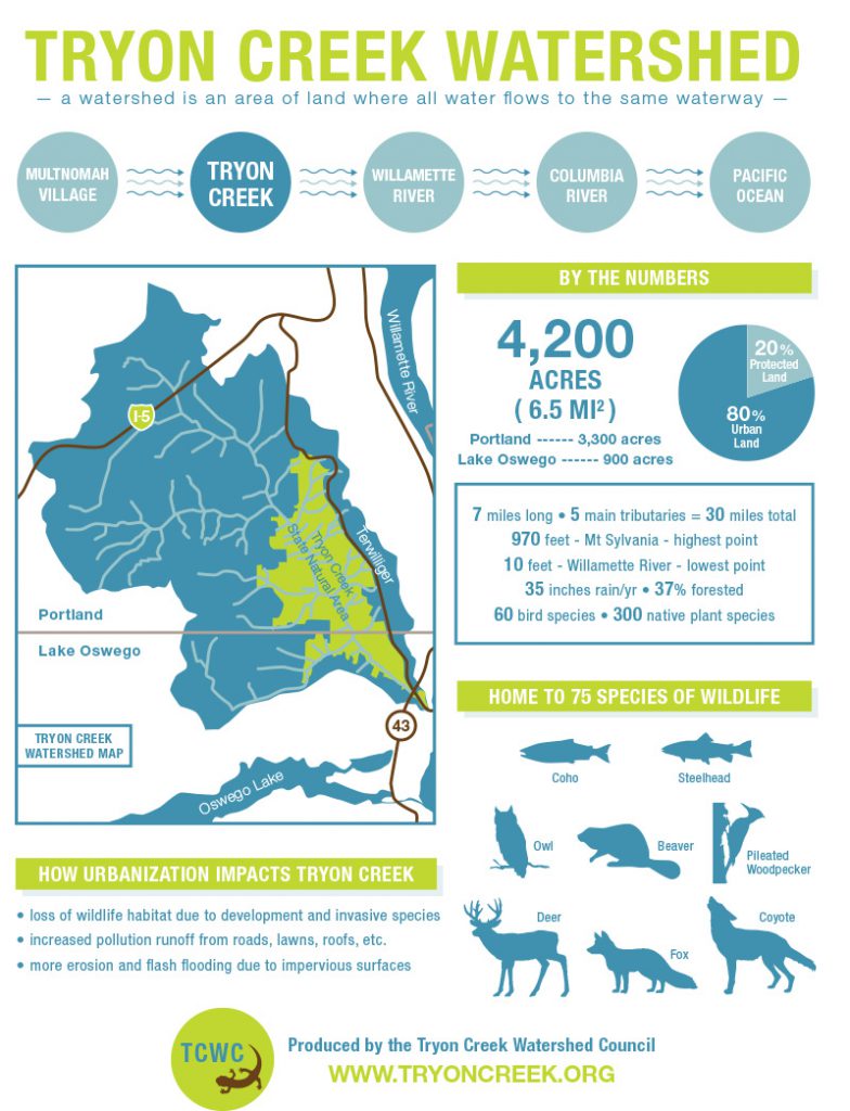 Infographic of the watershed