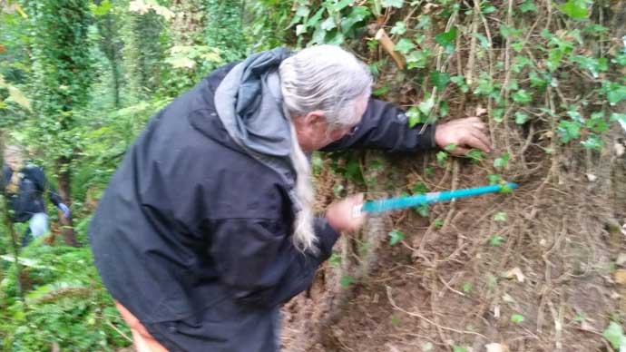 Volunteer cutting ivy off a tree trunk