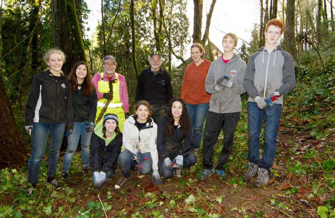 Group of volunteers in the forest