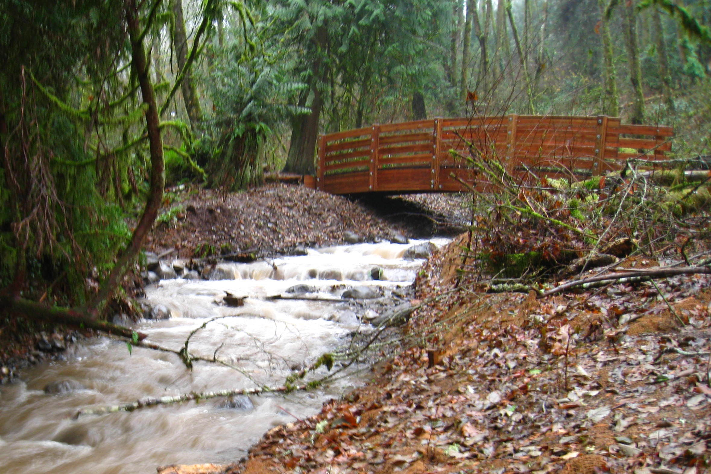 The new (2014) Nettle Creek Bridge in the Tryon Creek State Natural Area, which now allows migratory fish such as cutthroat trout to move beyond the former fish passage barrier to upstream habitat.